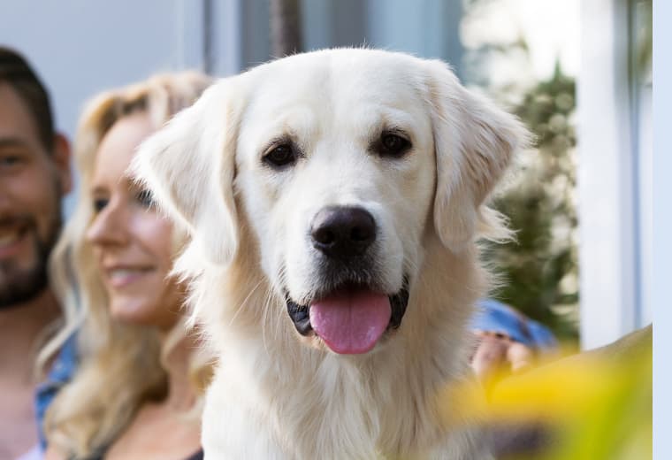 AGILA geht eigene Wege