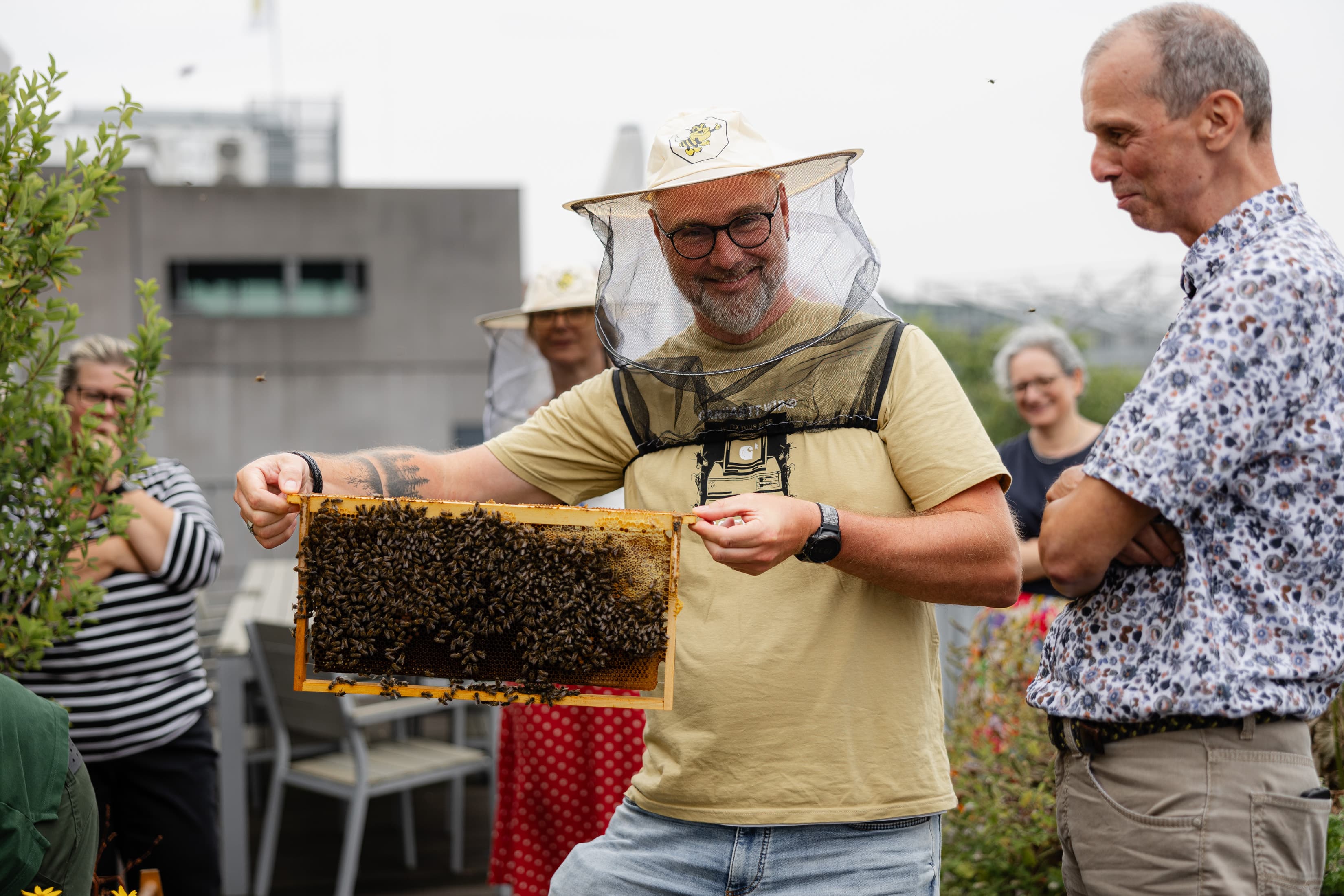 Mitarbeitende werden Bienenfreunde