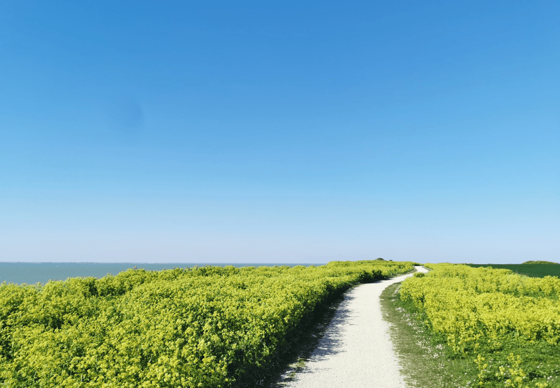 Landschaftsaufnahme der Côte de Granit Rose