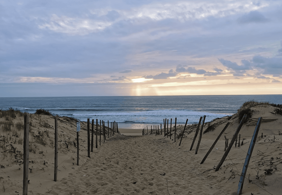 Der Surferstrand Seignosse mit Blick auf das Meer im Hintergrund.