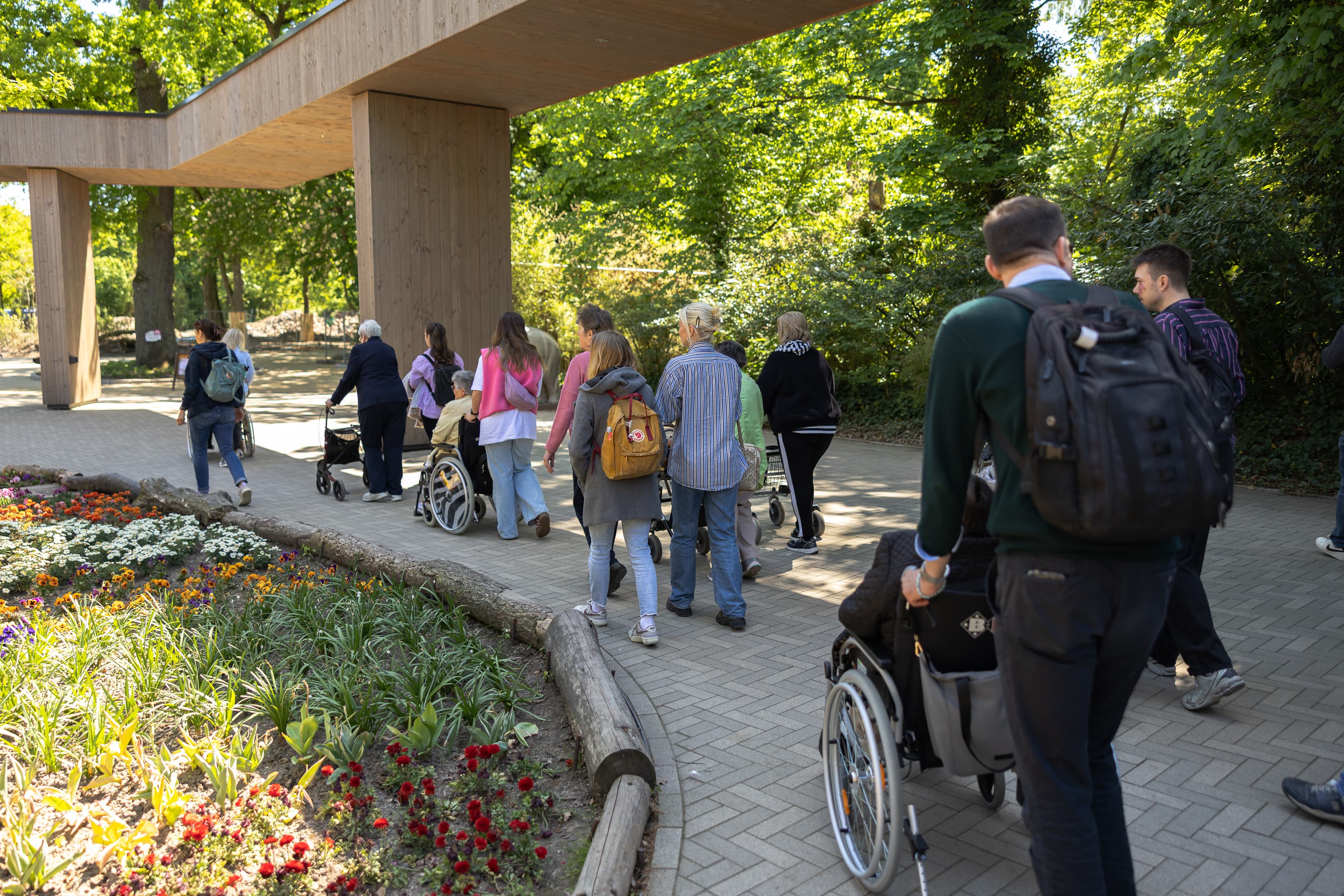 Eine Gruppe von Mitarbeitenden begleiten zehn Seniorinnen beim Corporate Volunteering durch den Zoo. Sie schieben Rollstuhlfahrende durch die grüne Anlage und unterhalten sich.